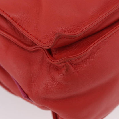 Loewe Flamenco Bag - Brandsamsara
