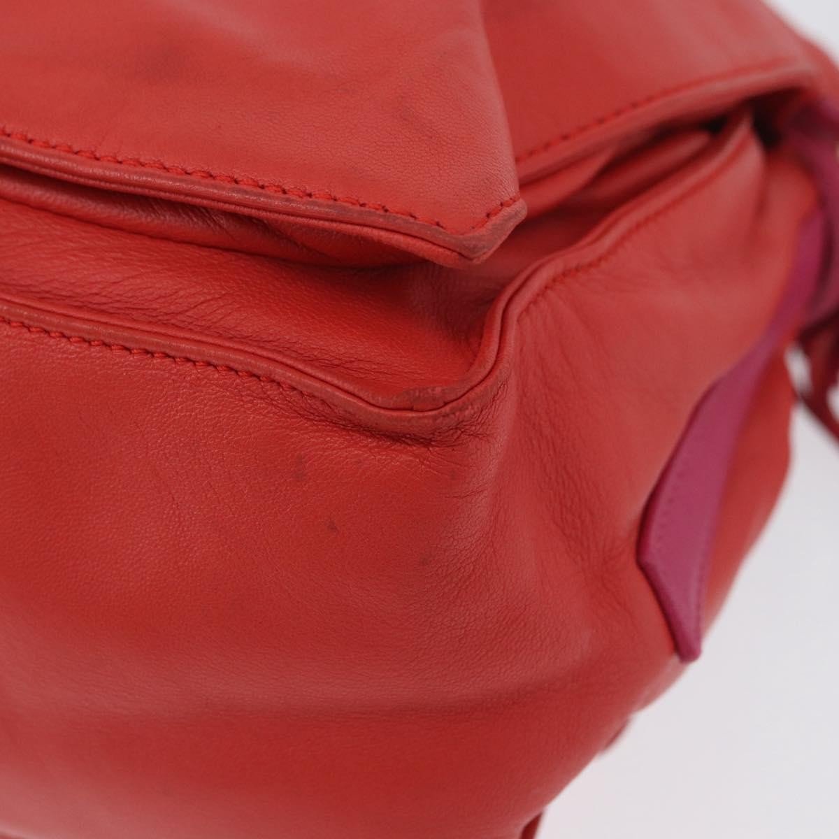 Loewe Flamenco Bag - Brandsamsara