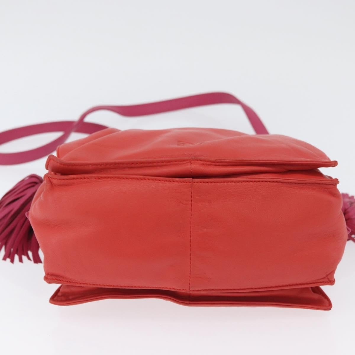 Loewe Flamenco Bag - Brandsamsara