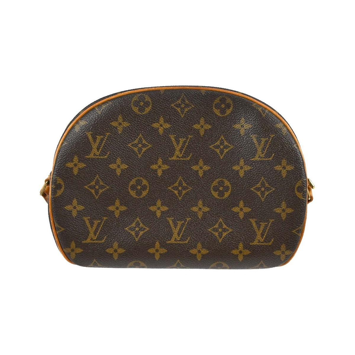Louis Vuitton Blois Monogram Canvas, Brown, Canvas, Shoulder Bag