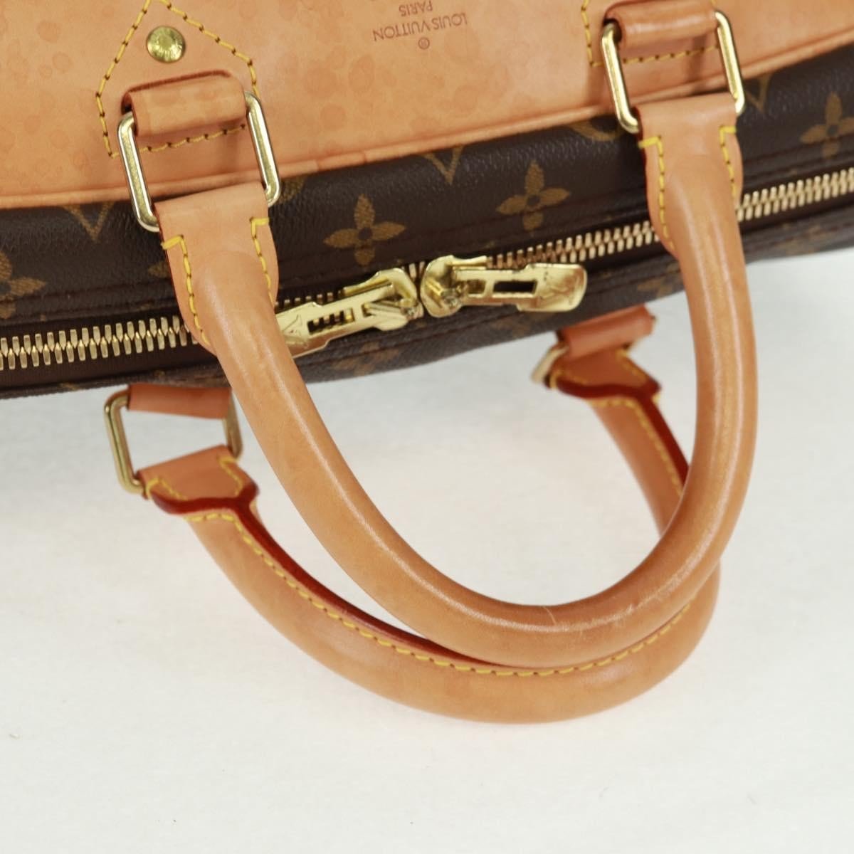 Louis Vuitton Evasion Travel Bag - Brandsamsara
