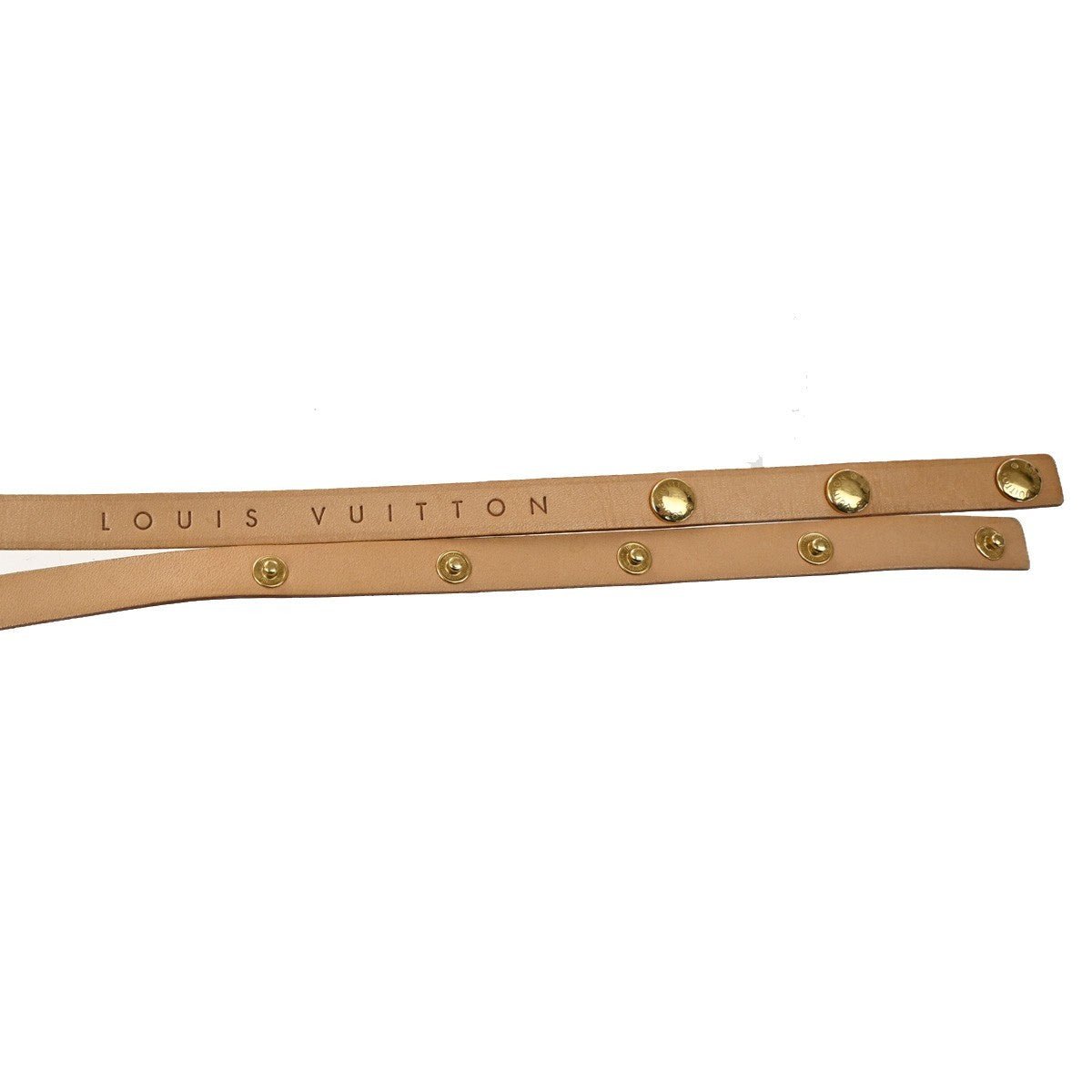 Louis Vuitton Florentine Waist Bag - Brandsamsara