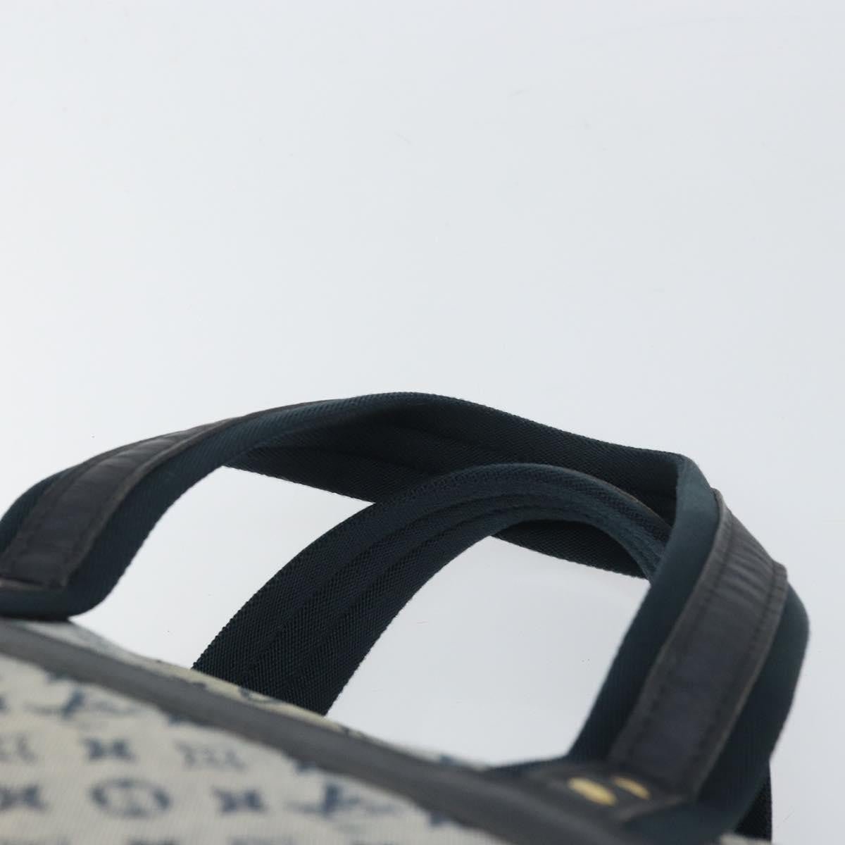 Louis Vuitton Josephine Handbag - Brandsamsara