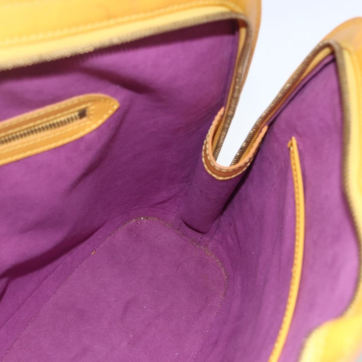 Louis Vuitton Lussac Handbag - Brandsamsara