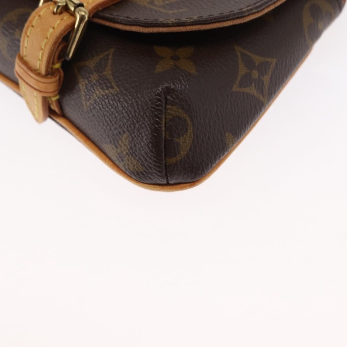 Louis Vuitton Marelle Waist Bag - Brandsamsara