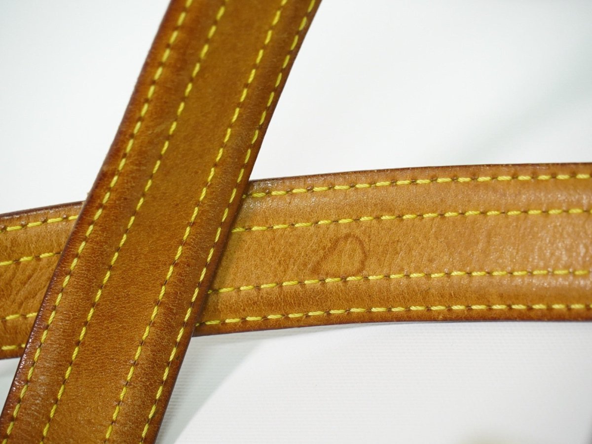 Louis Vuitton Multipli Cite Handbag - Brandsamsara