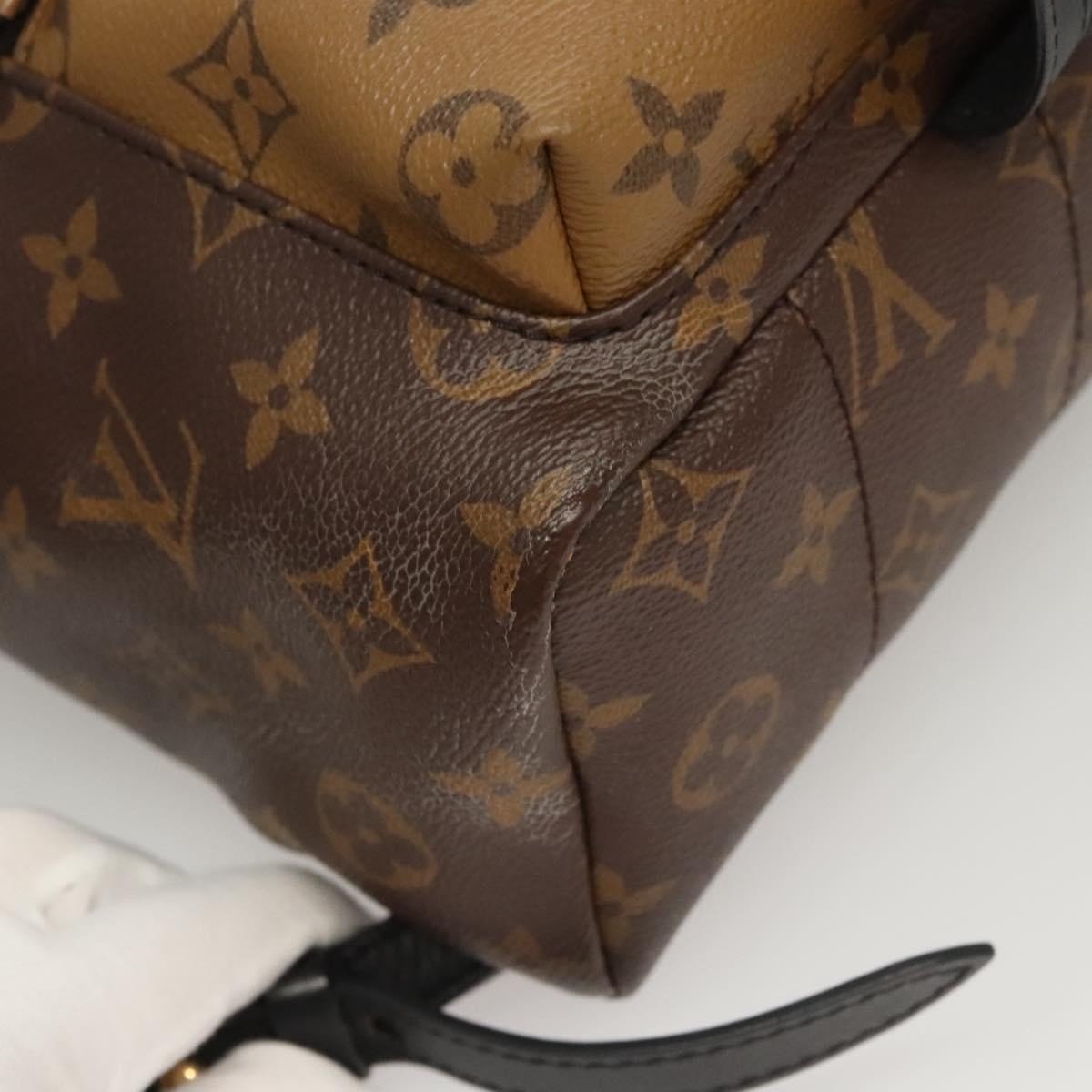 Louis Vuitton Palm Springs Backpack - Brandsamsara
