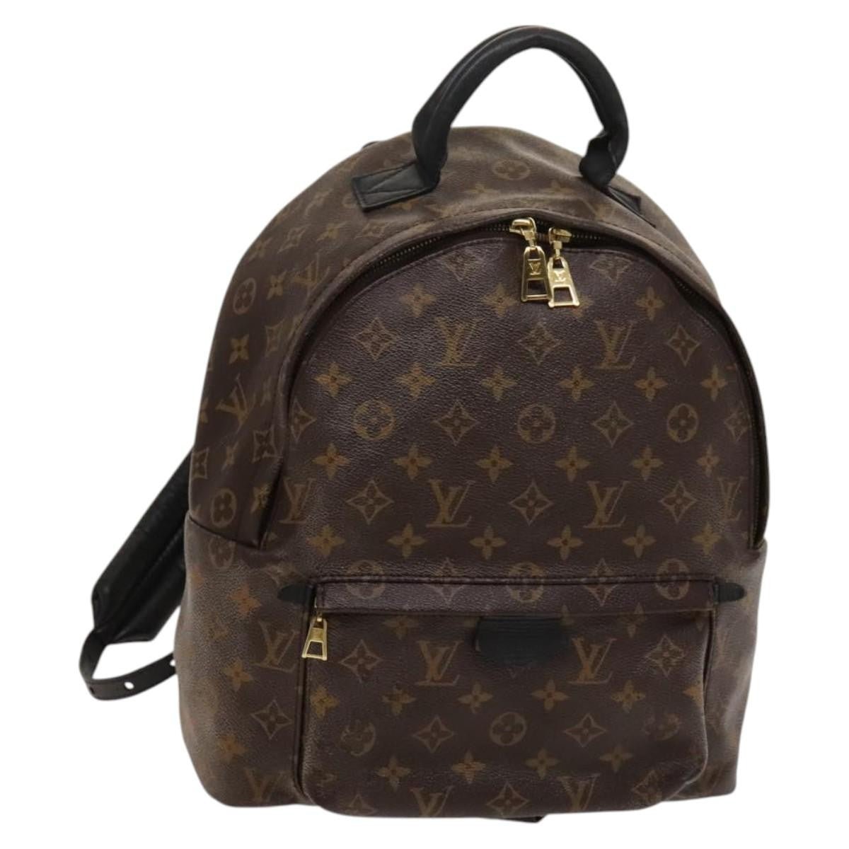 Louis Vuitton Palm Springs Backpack - Brandsamsara
