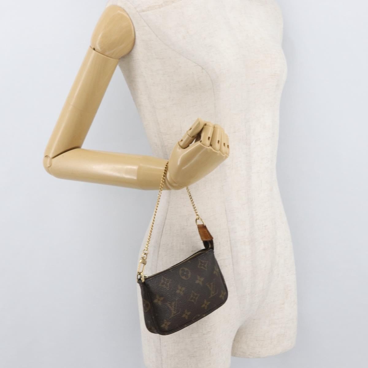 Louis Vuitton Pochette Accessoires - Brandsamsara