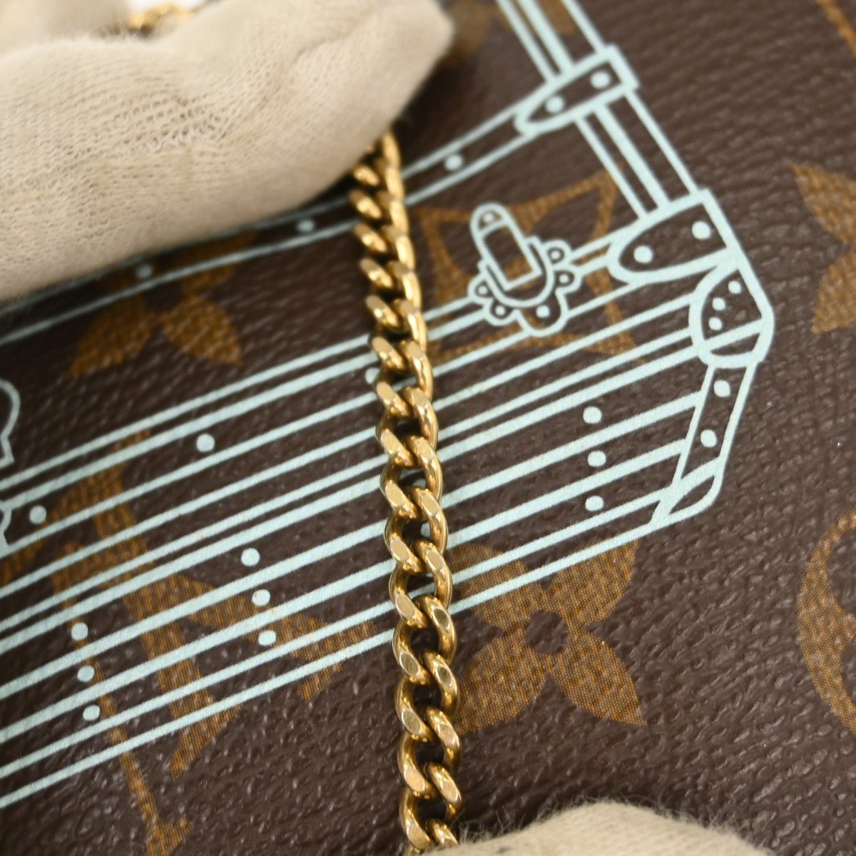 Louis Vuitton Pochette Accessoires - Brandsamsara