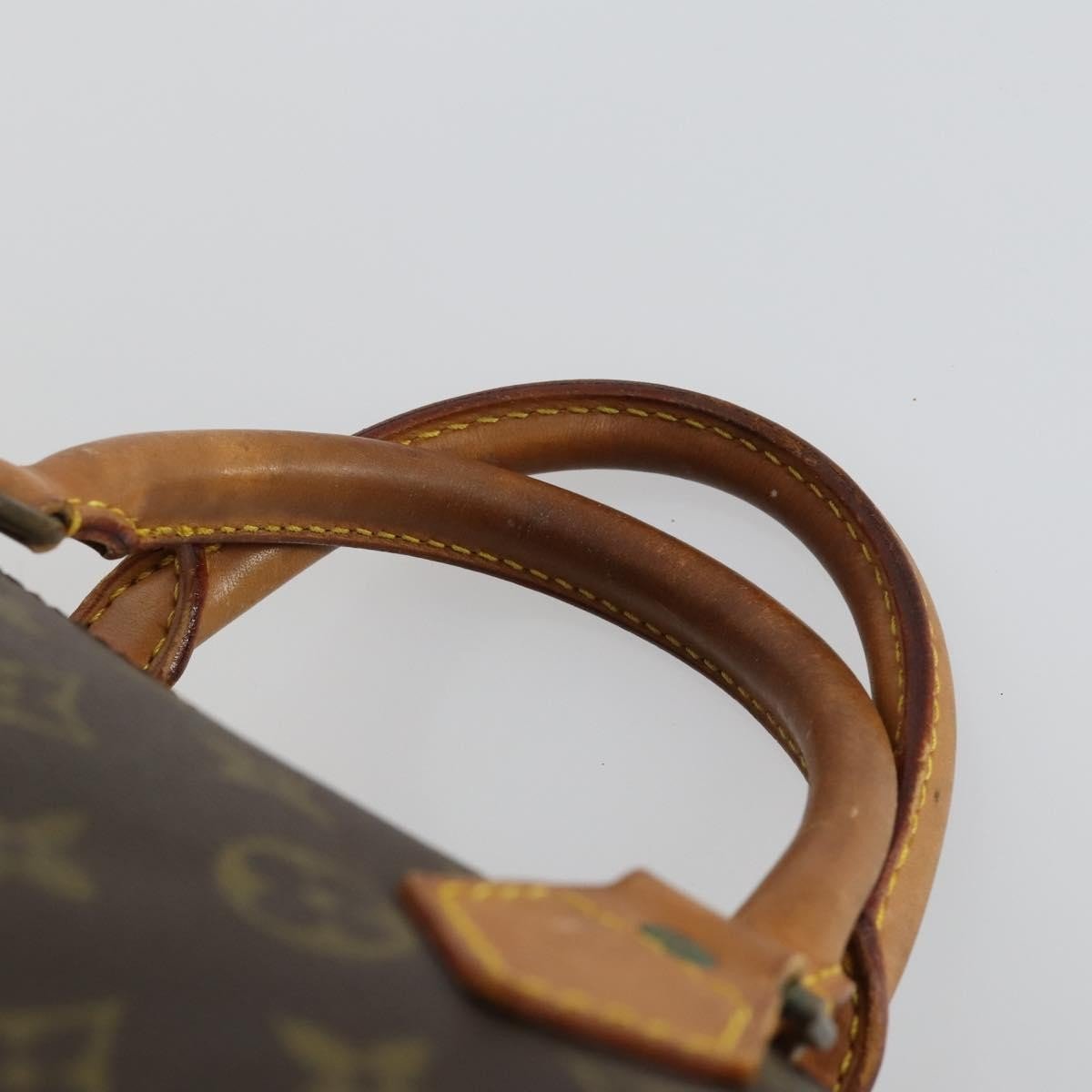 Louis Vuitton Speedy Handbag - Brandsamsara