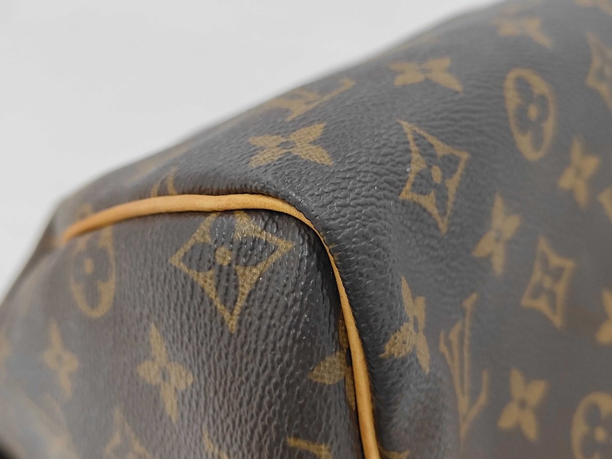 Louis Vuitton Speedy Handbag - Brandsamsara
