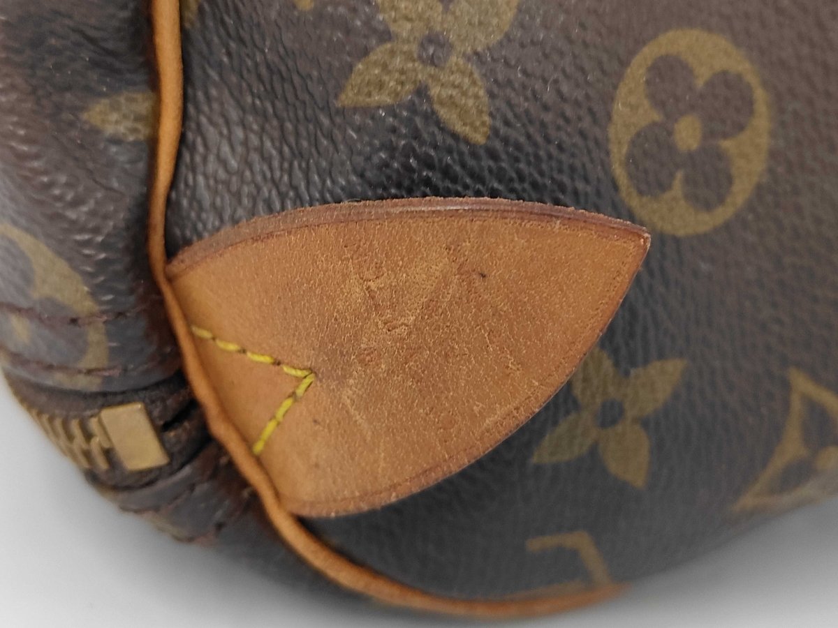 Louis Vuitton Speedy Handbag - Brandsamsara