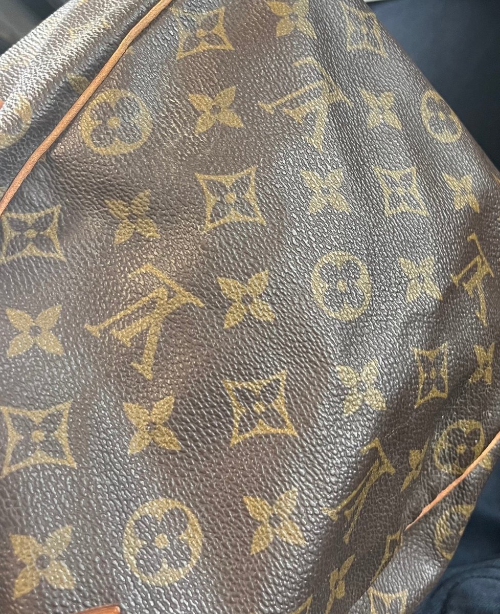 Louis Vuitton Speedy Handbag - Brandsamsara