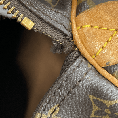 Louis Vuitton Speedy Handbag - Brandsamsara