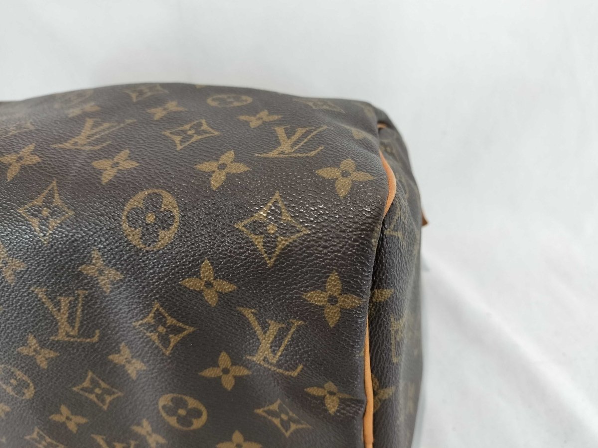 Louis Vuitton Speedy Handbag - Brandsamsara