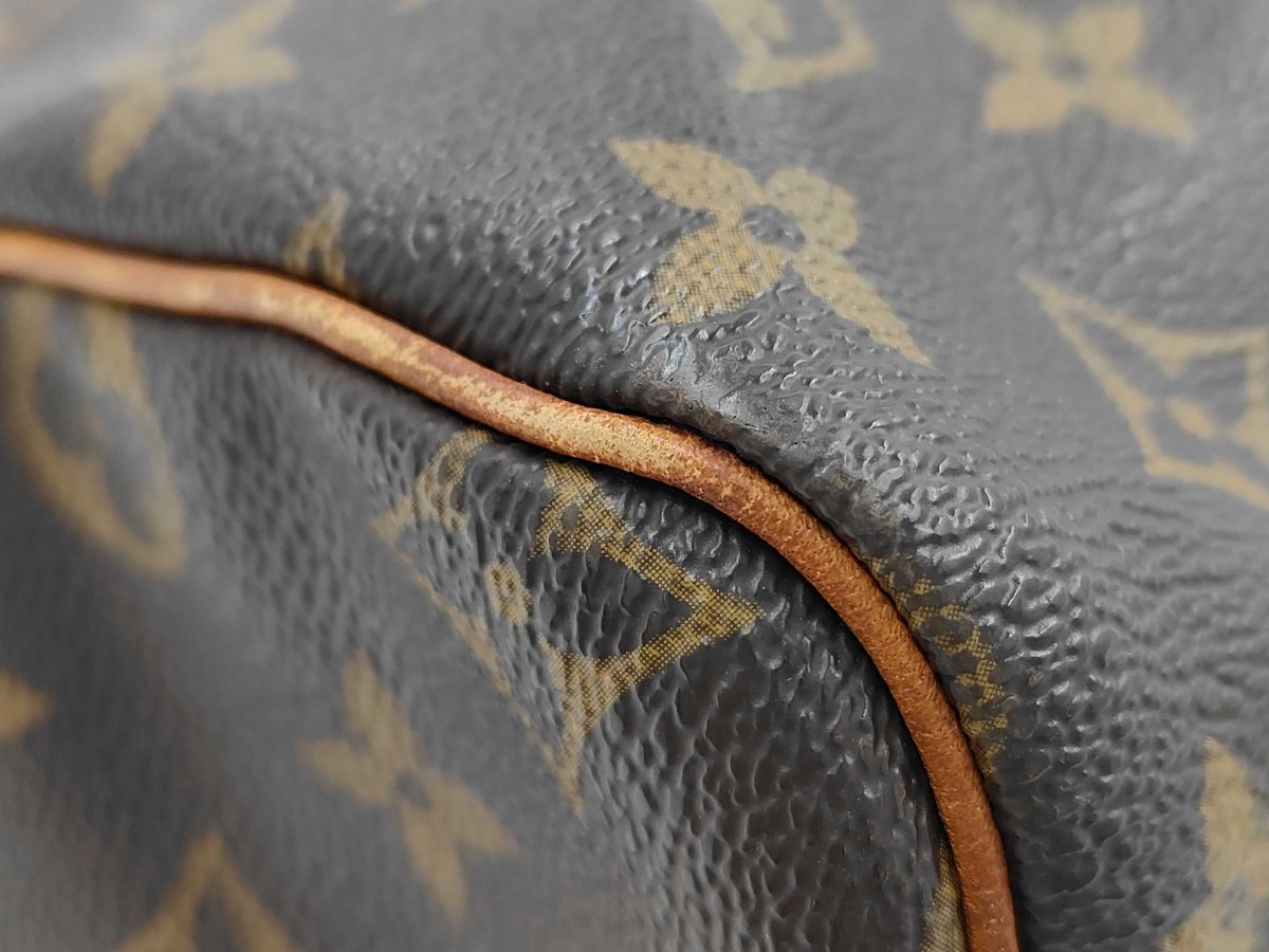 Louis Vuitton Speedy Handbag - Brandsamsara