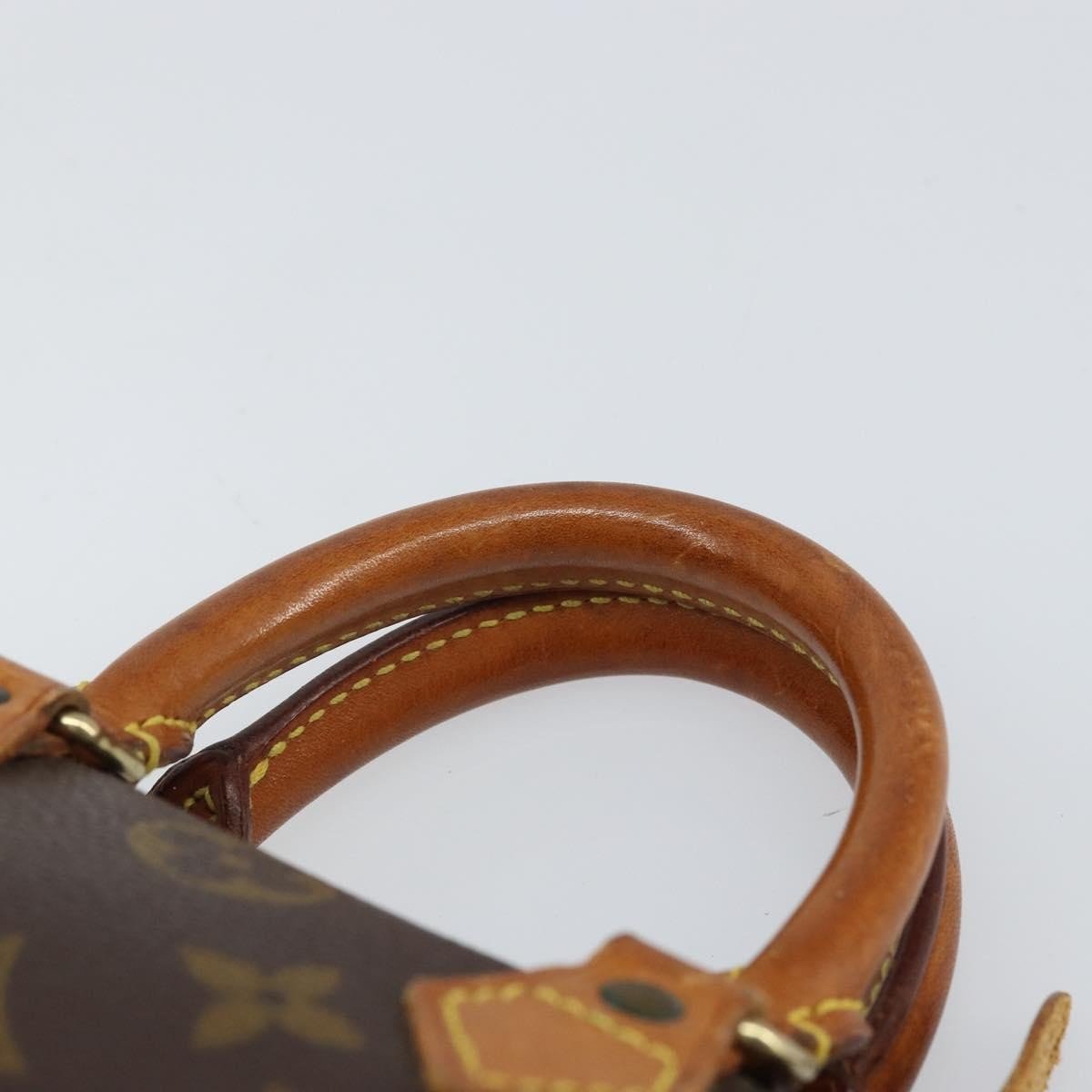 Louis Vuitton Speedy Mini HL Handbag - Brandsamsara