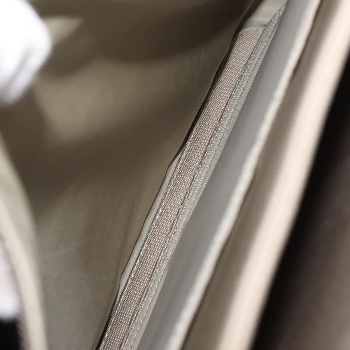 Louis Vuitton Terre Messenger - Brandsamsara