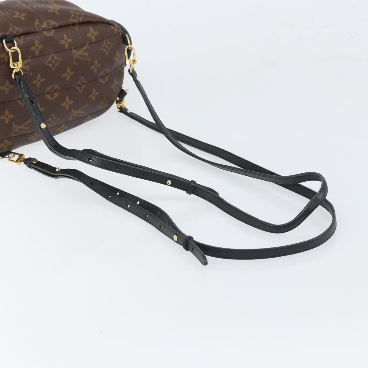 Louis Vuitton Palm Springs Backpack Monogram Canvas, BROWN, CANVAS, Backpack