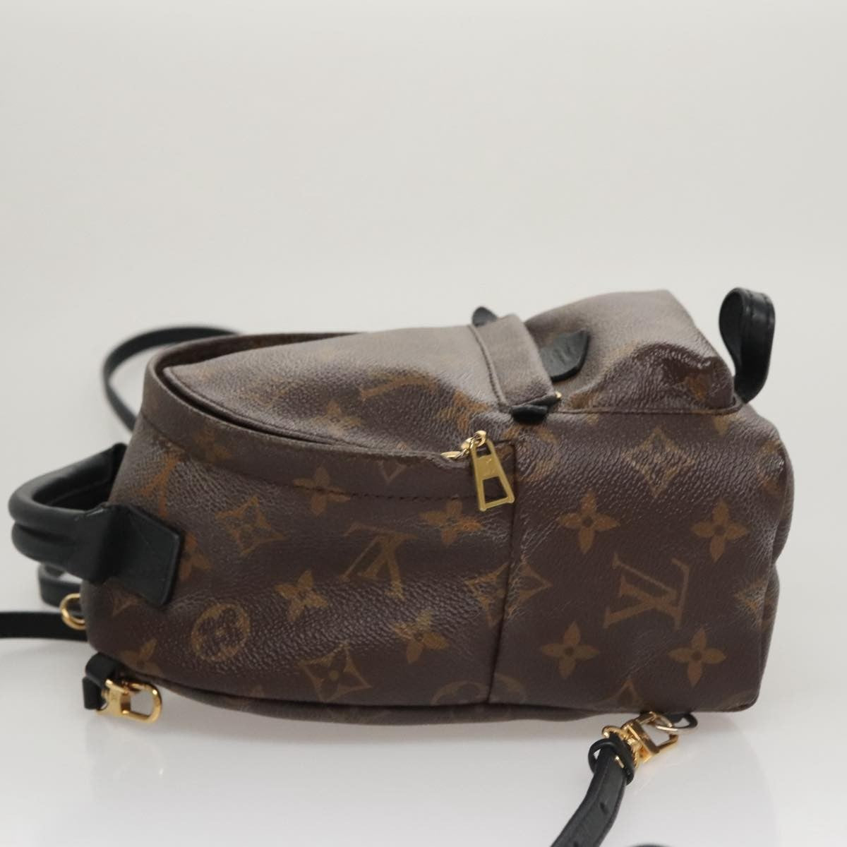 Louis Vuitton Palm Springs Backpack Monogram Canvas, BROWN, CANVAS, Backpack