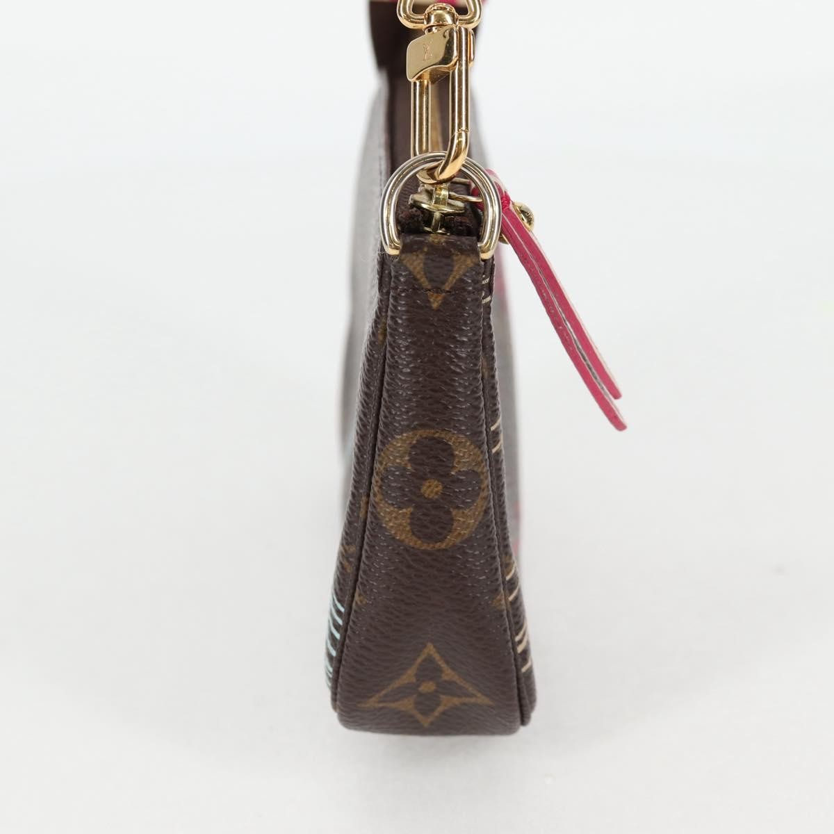 Louis Vuitton Pochette Accessoires Limited Edition Christmas Animation Monogram Canvas, BROWN, CANVAS, Clutche & pouche