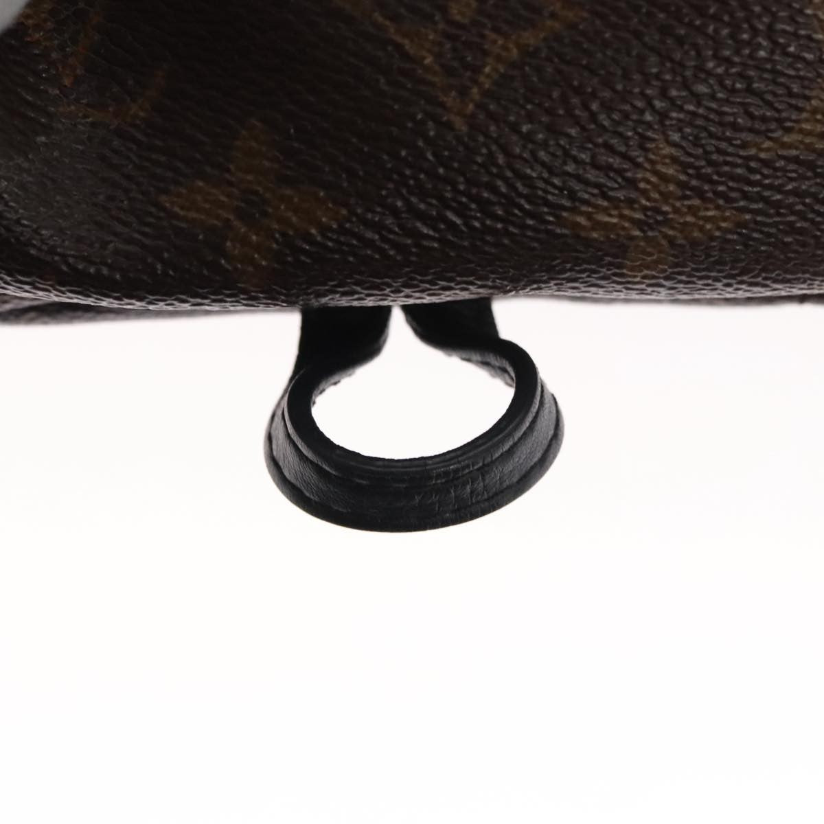 Louis Vuitton Palm Springs Backpack Monogram Canvas, BROWN, CANVAS, Backpack