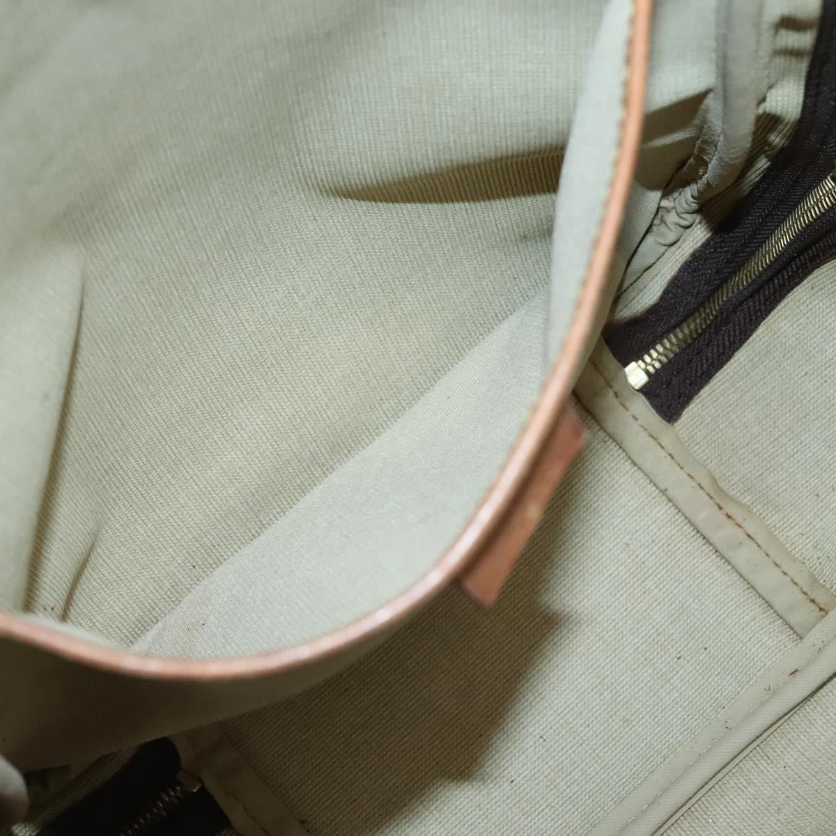 Louis Vuitton Excursion Handbag Monogram Canvas, BROWN, CANVAS, Handbag