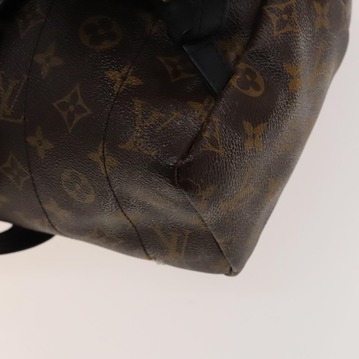 Louis Vuitton Palm Springs Backpack Monogram Canvas, BROWN, CANVAS, Backpack