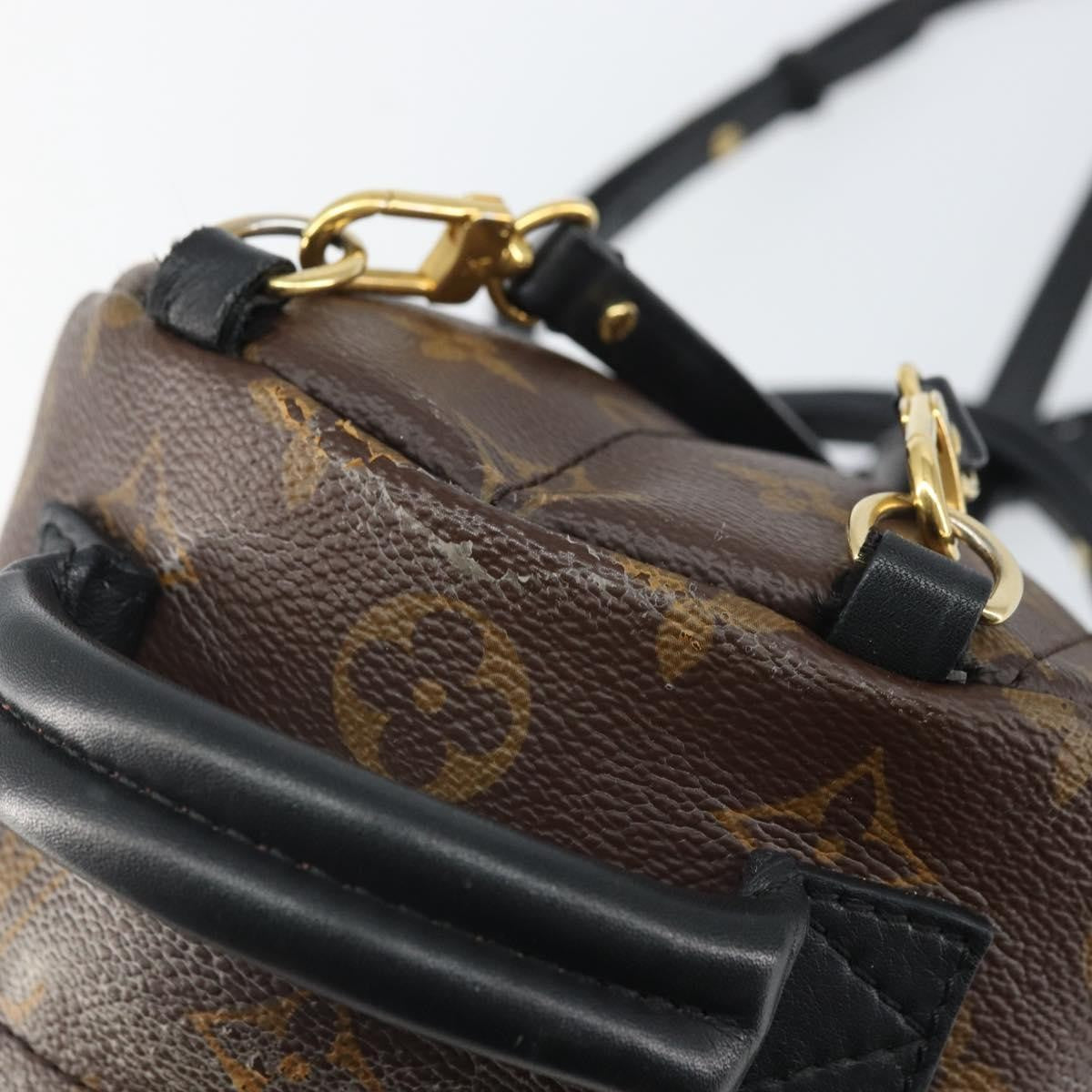 Louis Vuitton Palm Springs Backpack Monogram Canvas, BROWN, CANVAS, Backpack