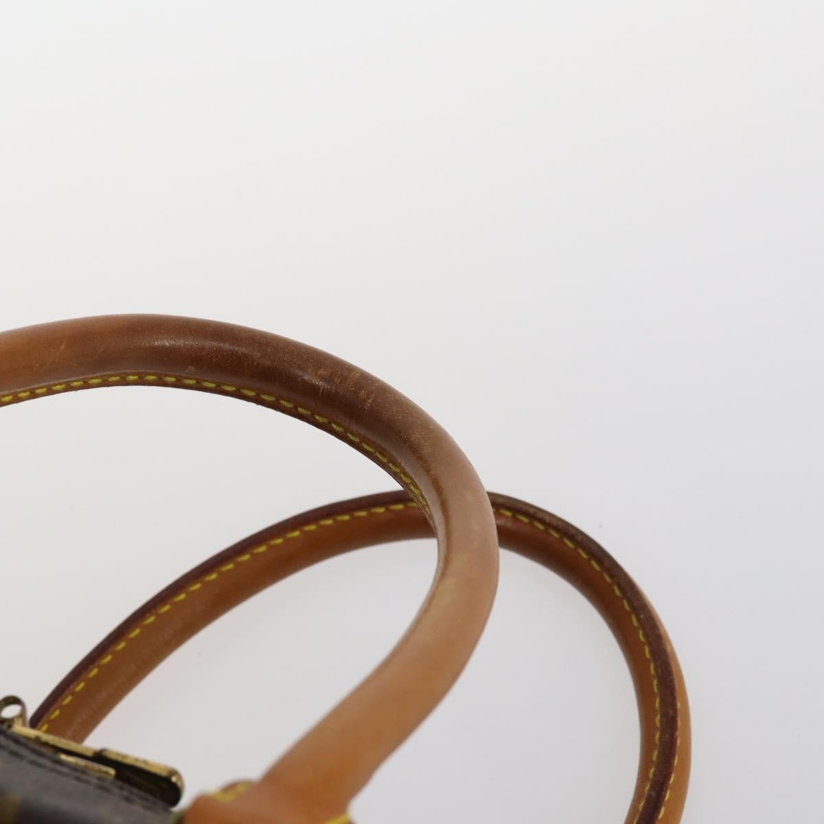 Louis Vuitton Sirius Handbag Monogram Canvas, BROWN, CANVAS, Travel bag