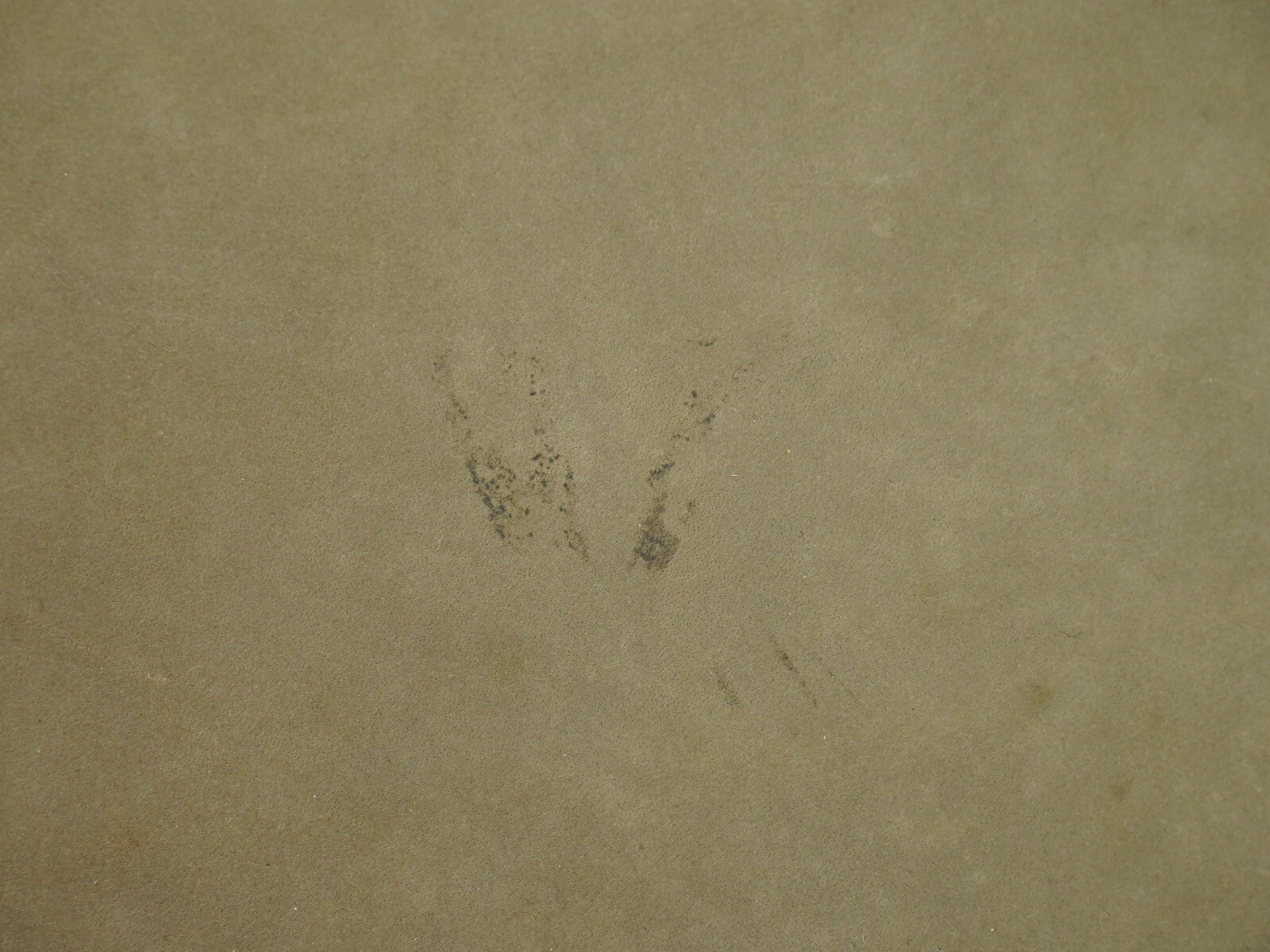 Salvatore Ferragamo Vara Bow camera Shoulder Bag Suede, BEIGE, SUEDE, Shoulder bag