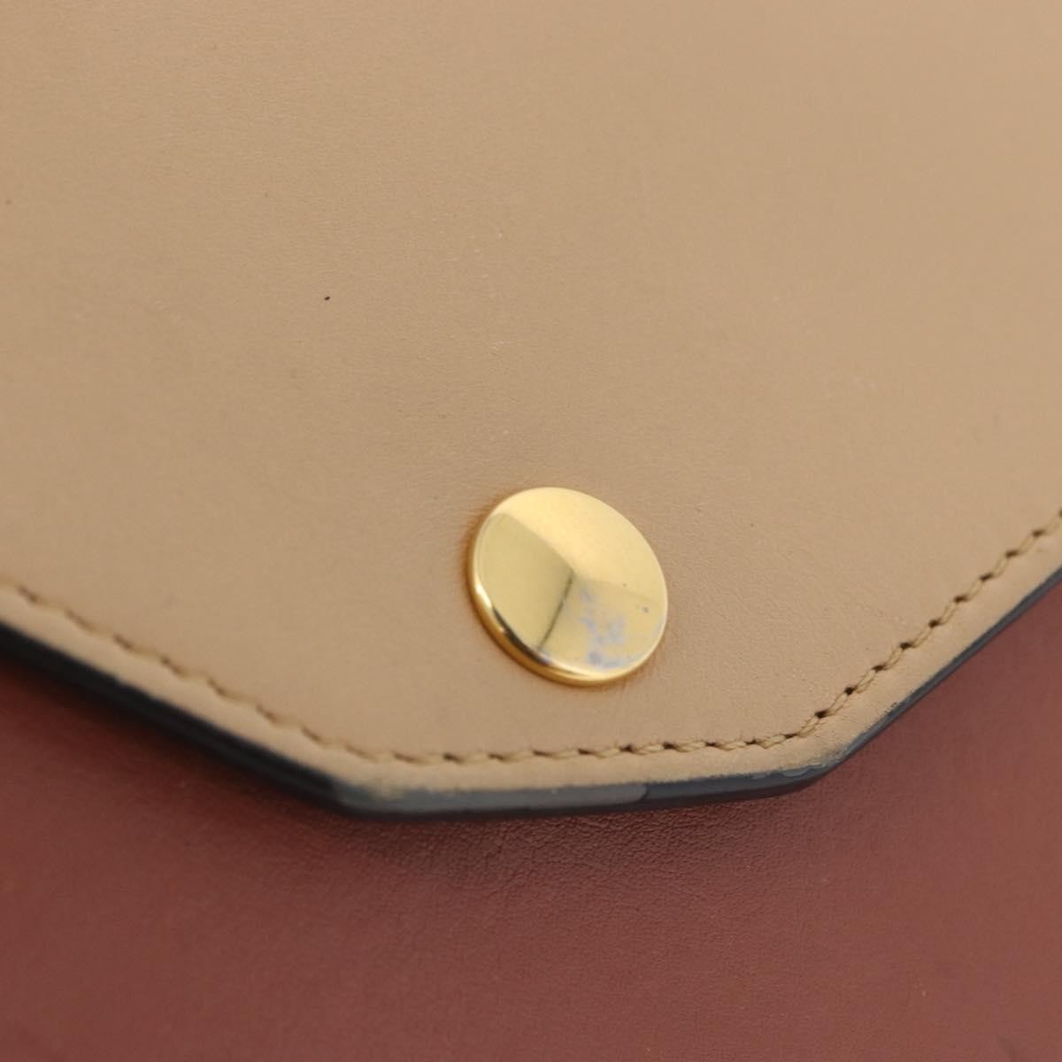 Celine Pocket Envelope Wallet on Chain Leather, MULTICOLOUR, LEATHER, Clutche & pouche