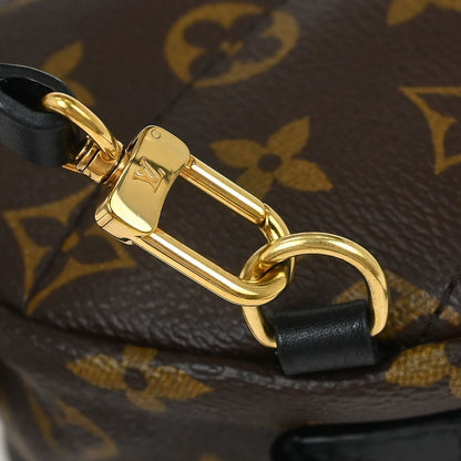 Louis Vuitton Palm Springs Backpack Limited Edition World Tour Monogram Canvas, BROWN, CANVAS, Backpack