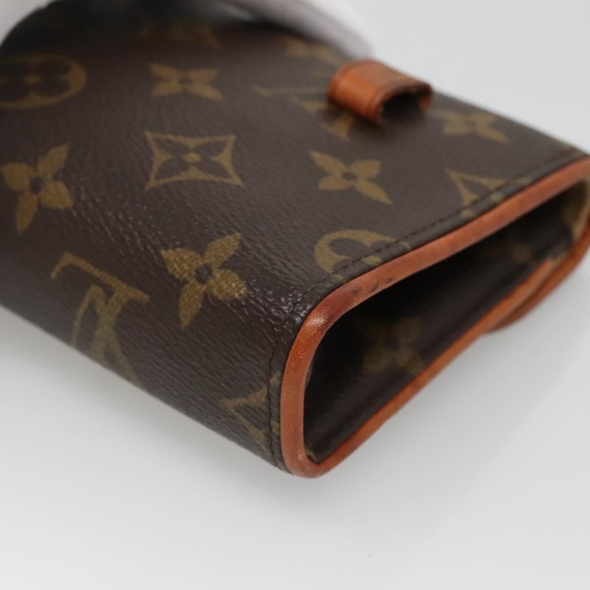 Louis Vuitton Florentine Waist Bag Monogram Canvas, BROWN, CANVAS, Travel bag