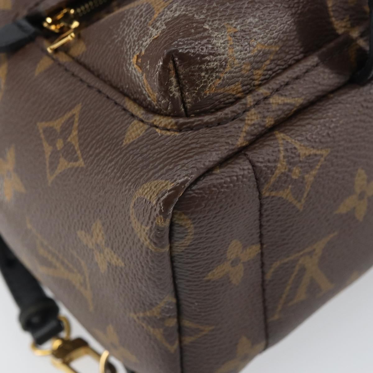 Louis Vuitton Palm Springs Backpack Monogram Canvas, BROWN, CANVAS, Backpack