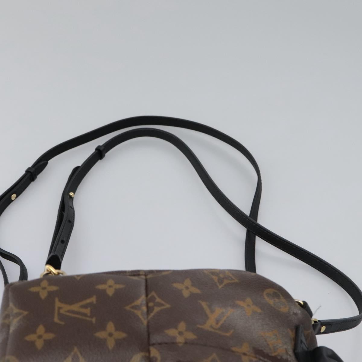 Louis Vuitton Palm Springs Backpack Monogram Canvas, BROWN, CANVAS, Backpack