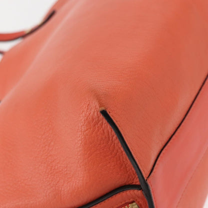 Chloe Dilan Tote Leather, PINK, LEATHER, Tote bag