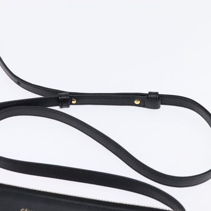 Celine Trio Crossbody Bag Leather, BLACK, LEATHER, Crossbody bag