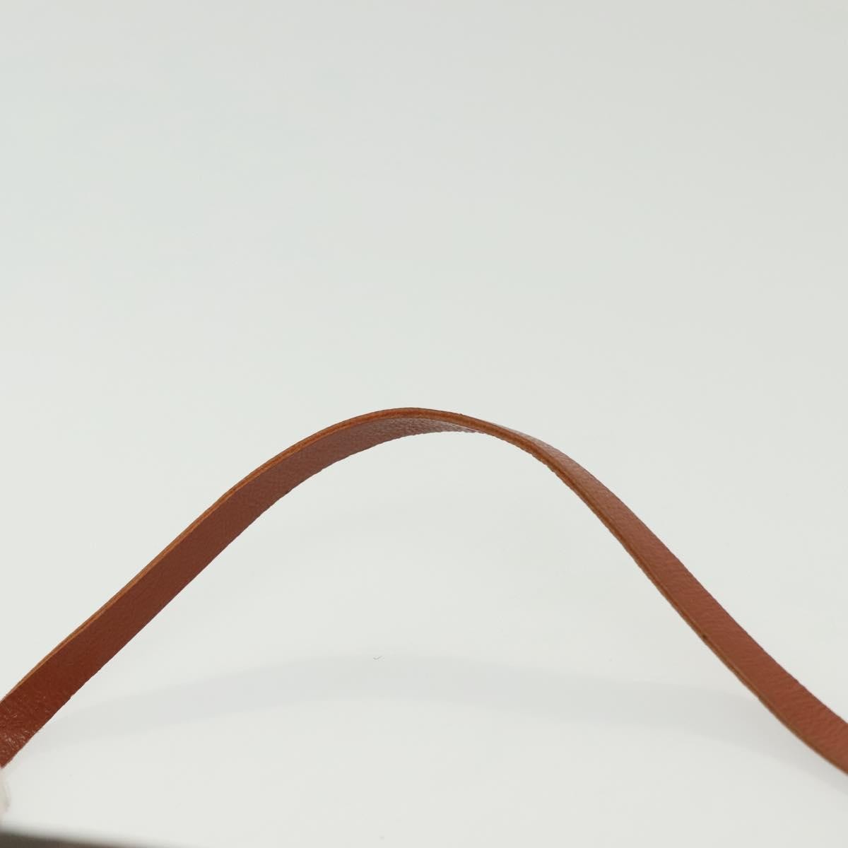 Louis Vuitton Papillon Pochette Monogram Canvas, BROWN, CANVAS, Handbag