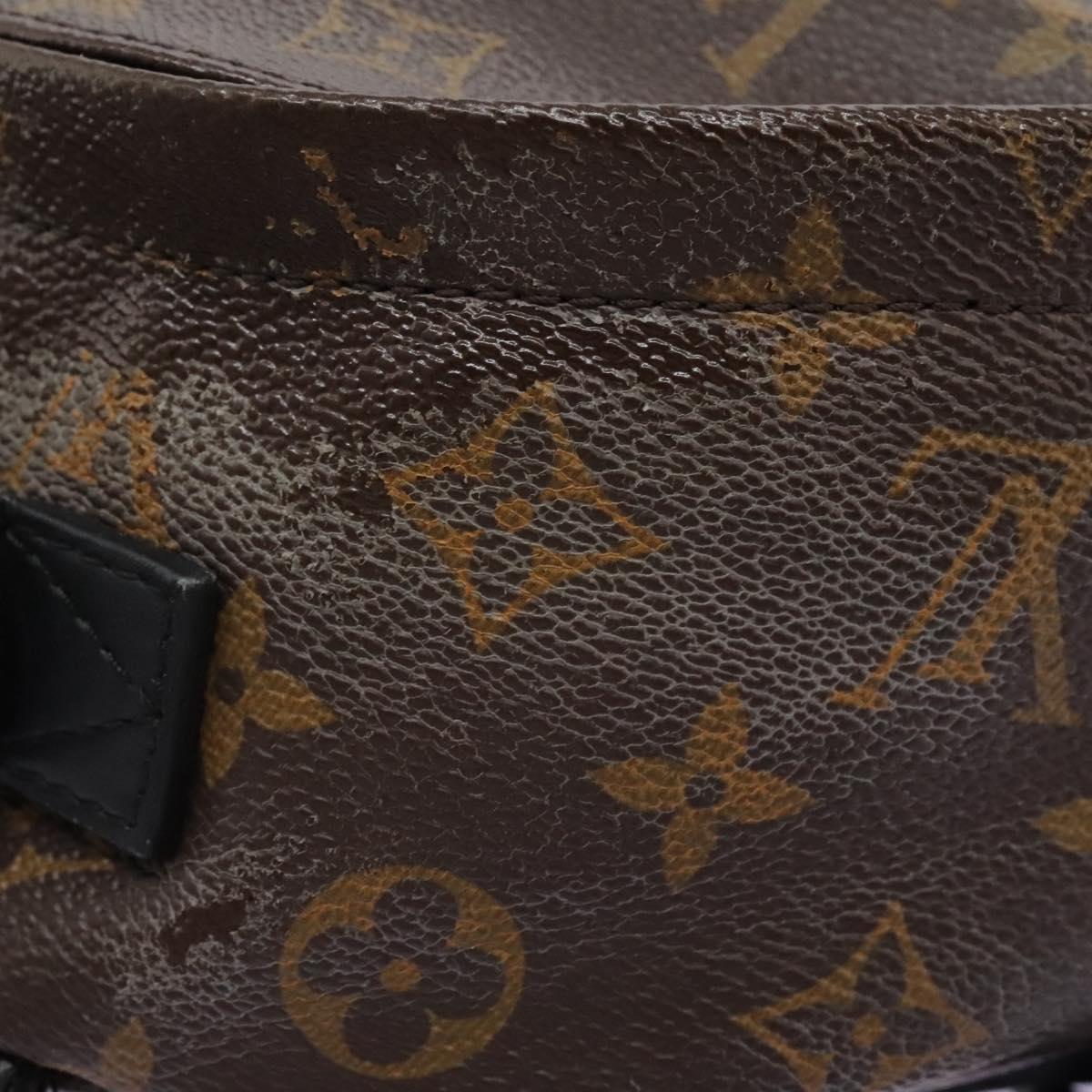 Louis Vuitton Palm Springs Backpack Monogram Canvas, BROWN, CANVAS, Backpack