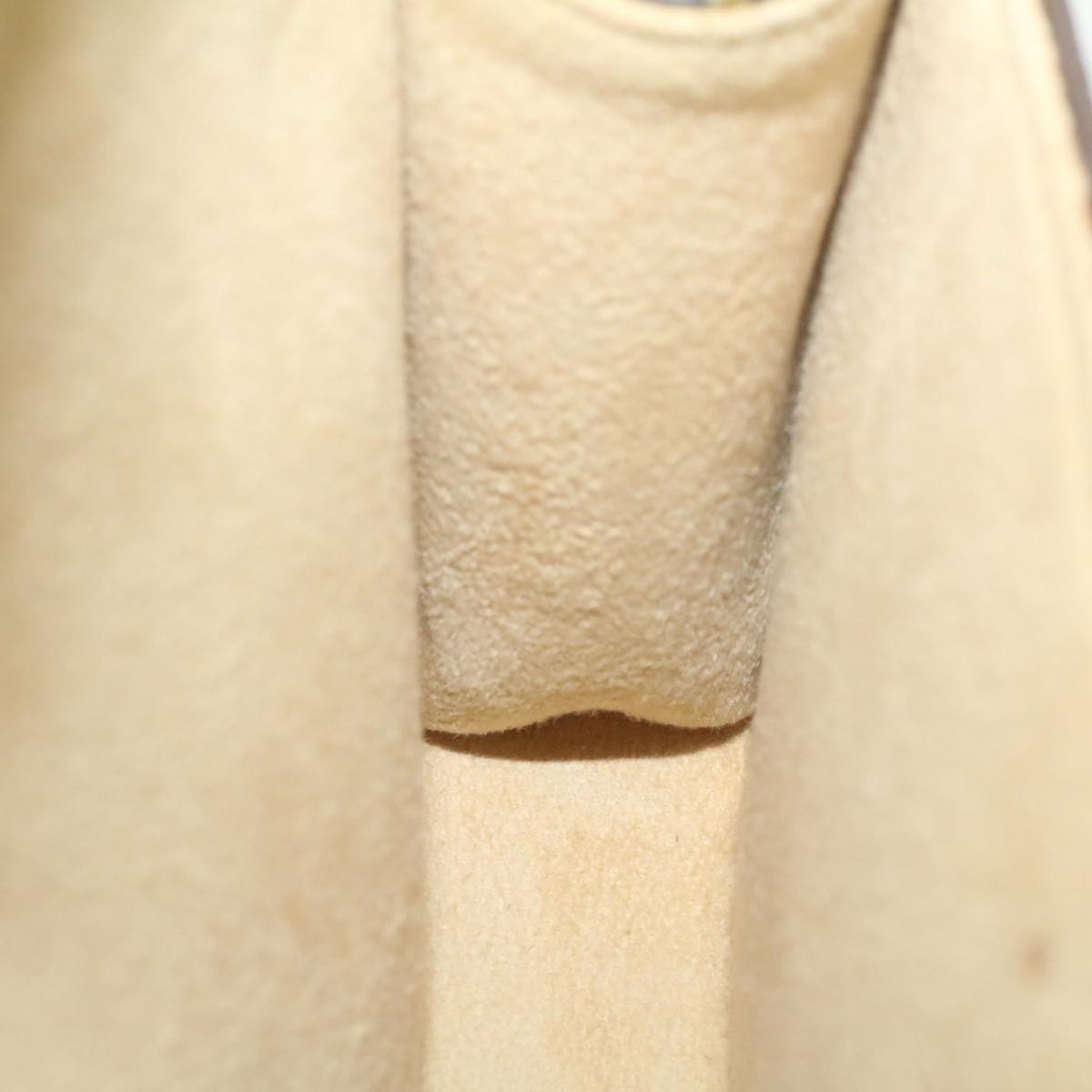 Louis Vuitton Florentine Waist Bag Monogram Canvas, BROWN, CANVAS, Travel bag