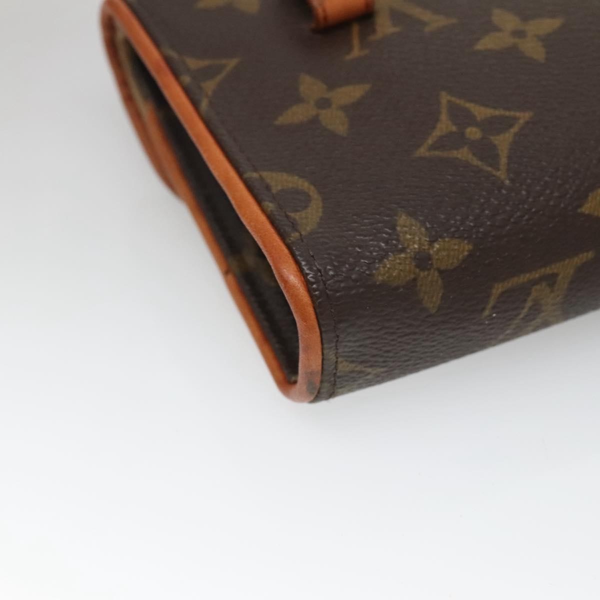 Louis Vuitton Florentine Waist Bag Monogram Canvas, BROWN, CANVAS, Travel bag