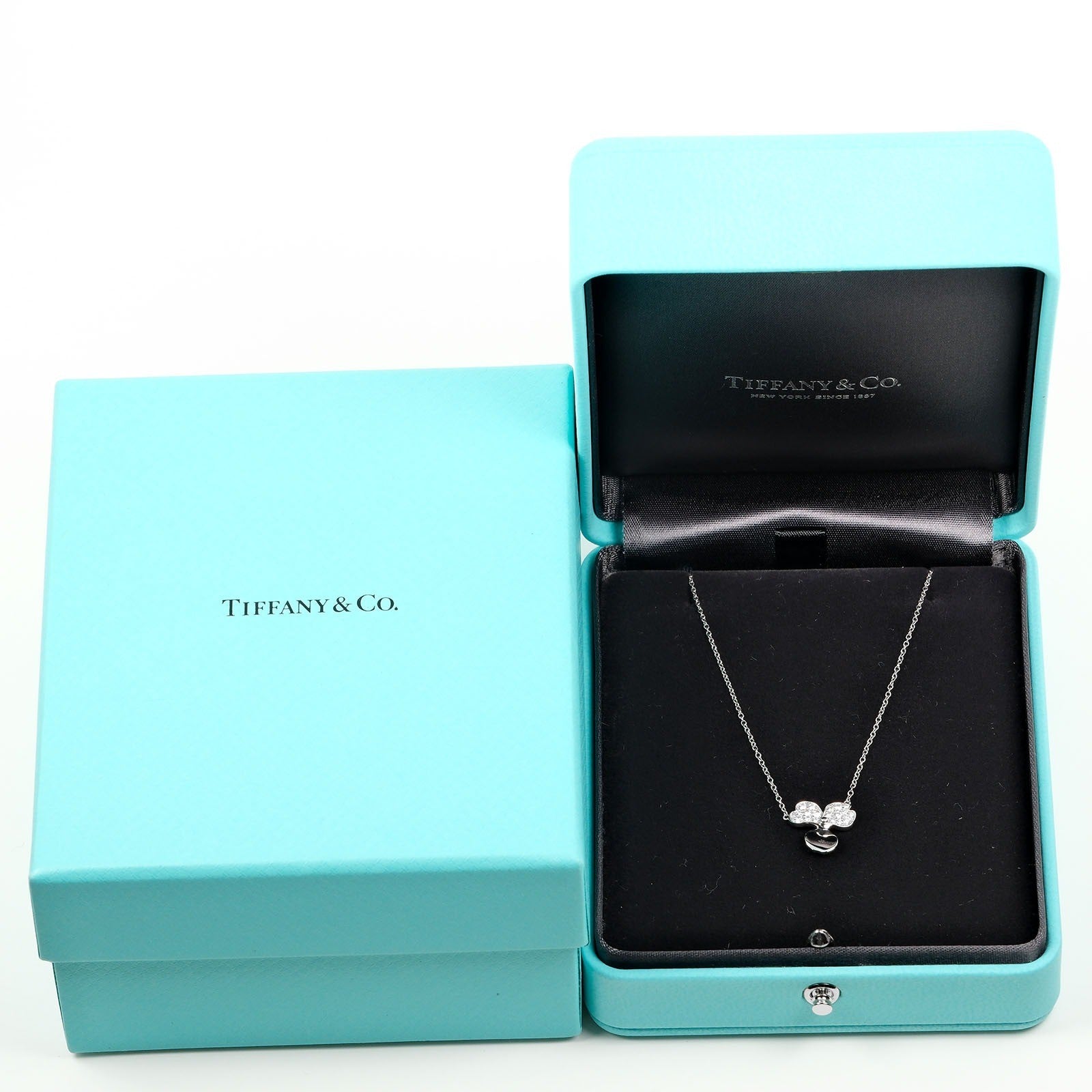 Tiffany & Co. Open Paper Flower Pendant Necklace Platinum and Diamonds, SILVER, PLATINUM, Necklace