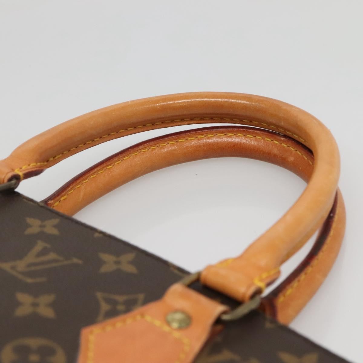 Louis Vuitton Sac Plat Bag Monogram Canvas, BROWN, CANVAS, Tote bag