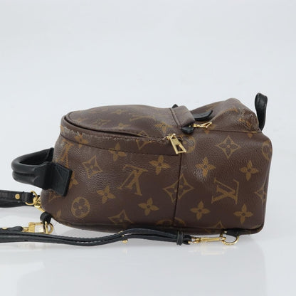 Louis Vuitton Palm Springs Backpack Monogram Canvas, BROWN, CANVAS, Backpack