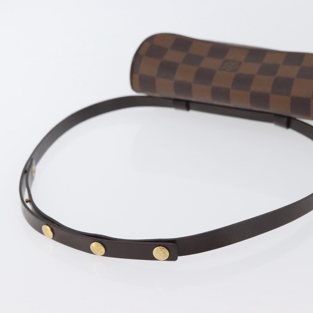 Louis Vuitton Florentine Waist Bag Monogram Canvas, BROWN, CANVAS, Clutche & pouche