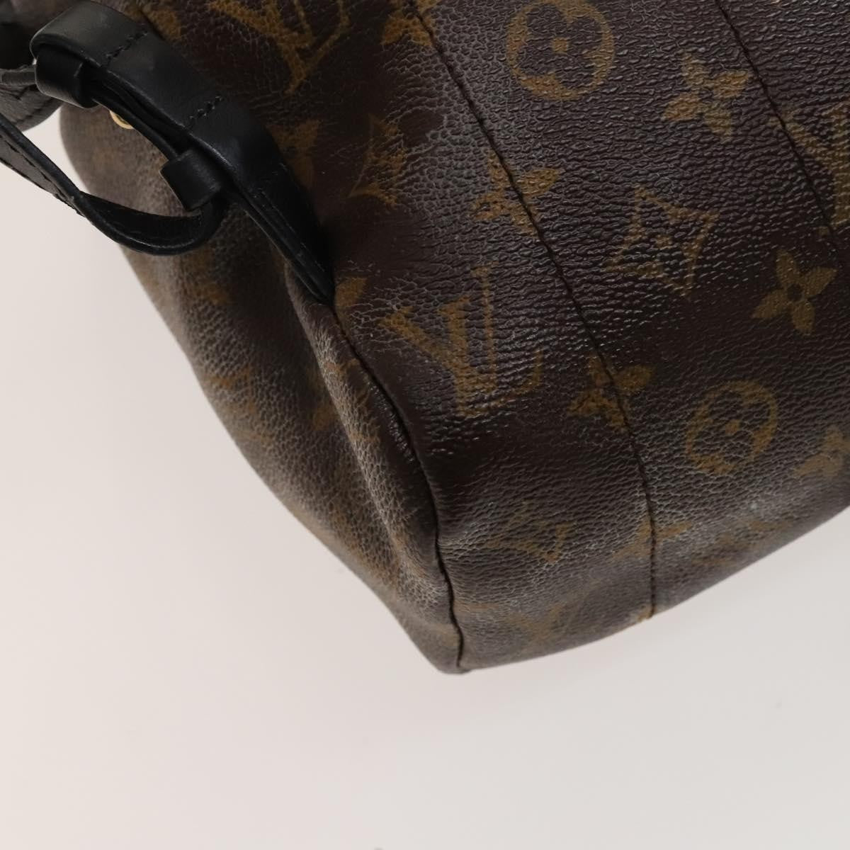 Louis Vuitton Palm Springs Backpack Monogram Canvas, BROWN, CANVAS, Backpack