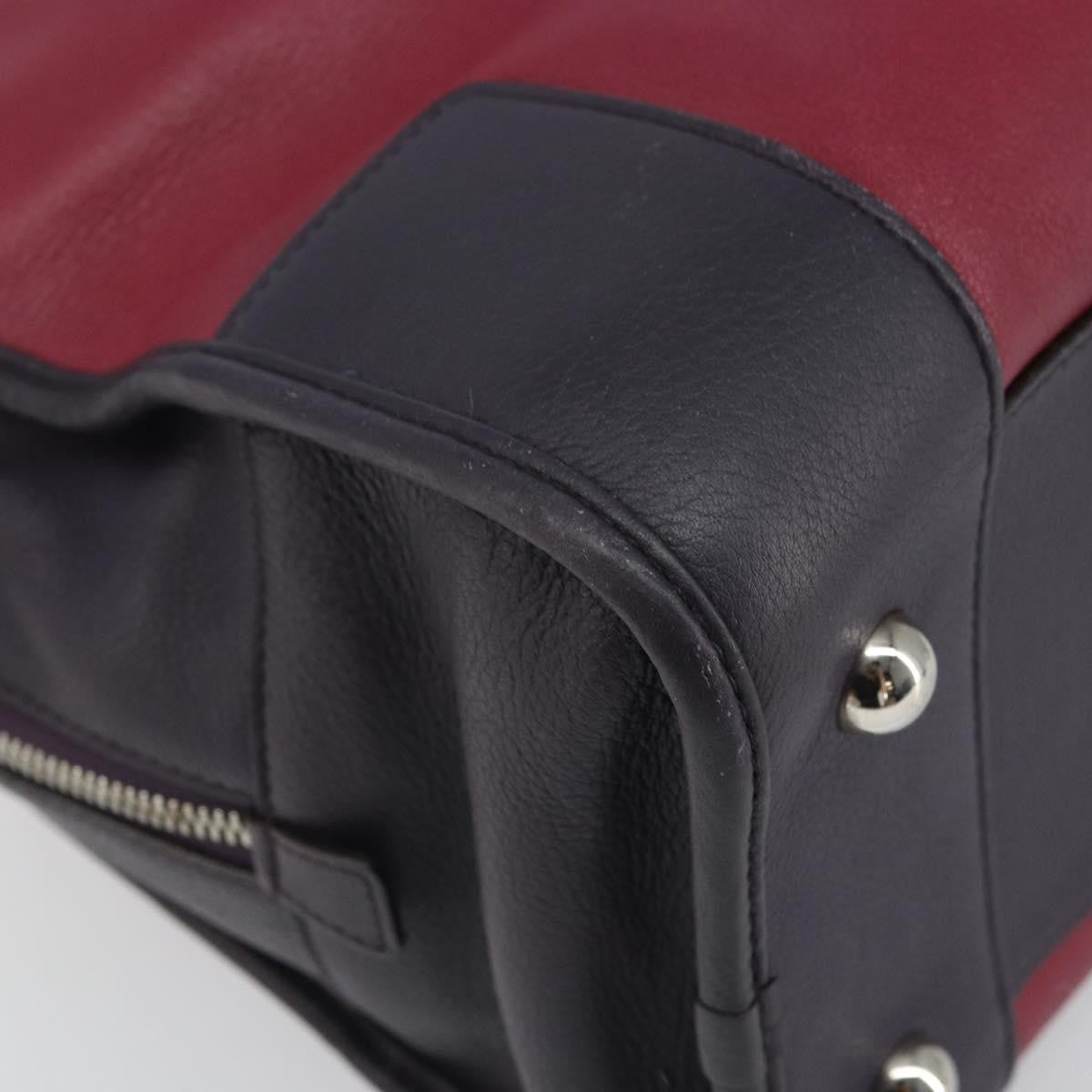 Loewe Amazona Bag Leather, RED, LEATHER, Handbag