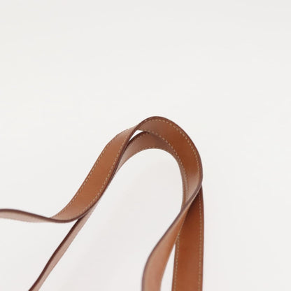 Celine Bucket Bag Triomphe Coated Canvas, BROWN, CANVAS, Tote bag